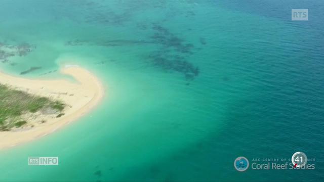 La barrière de corail au large de l'Australie se détériore sévèrement