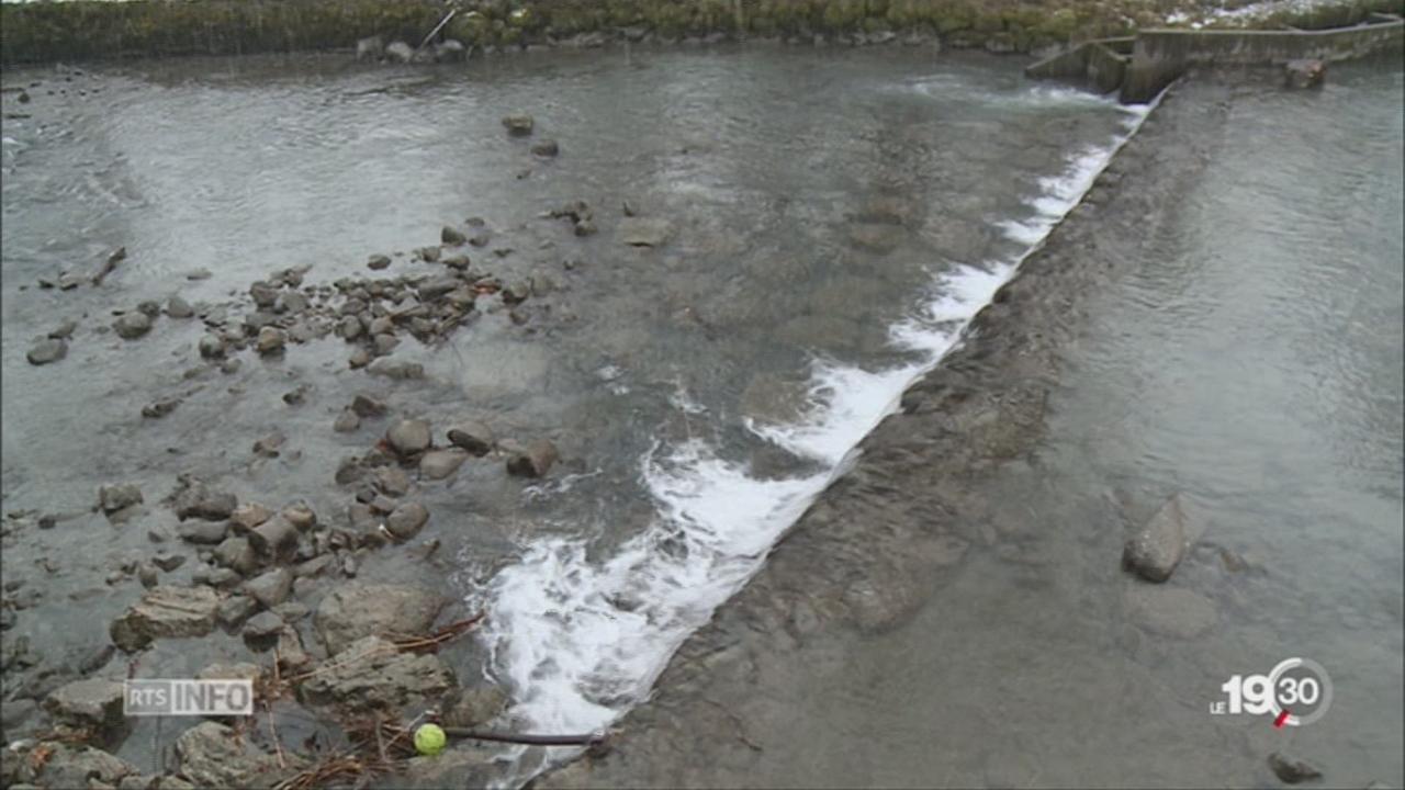 Pollution de l'eau à Genève : toxicité d'origine industrielle