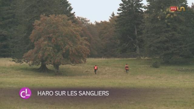 NE: le Creux du Van est l’une des plus belles réserves naturelles de Suisse