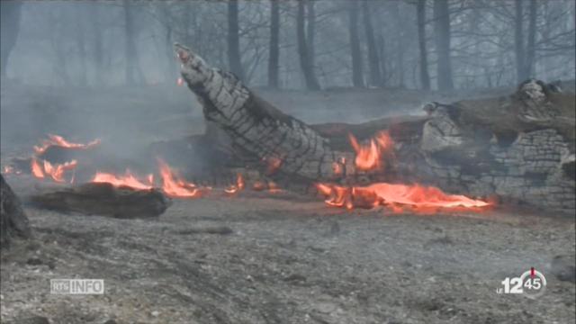 Le Sud-Est de la France fait face à de violents incendies