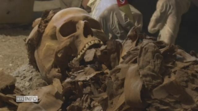 Plusieurs momies découvertes en Egypte