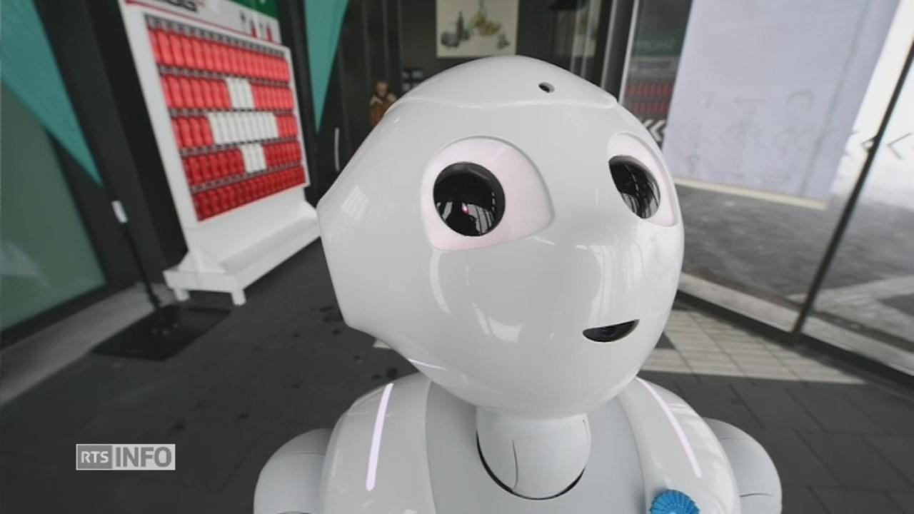 Le robot Pepper accueille les touristes au Rigi