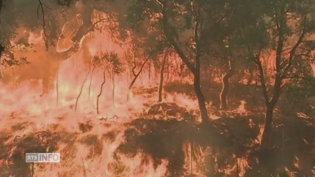 Violent feu de forêt à la frontière franco-espagnole