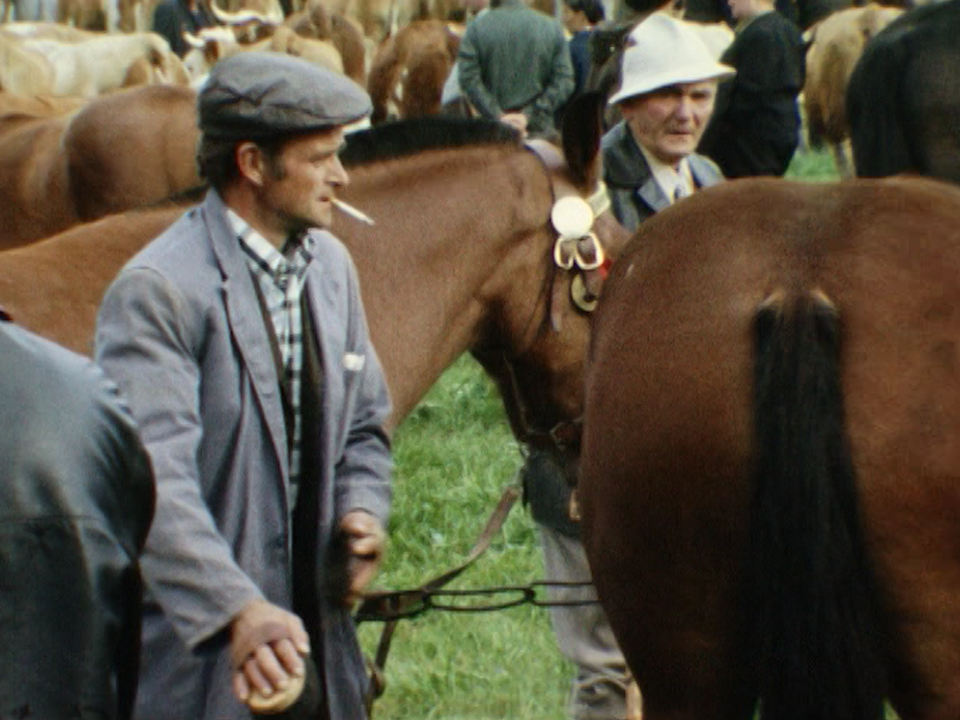 La foire de Chaindon