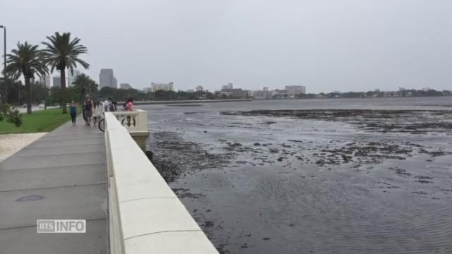 La mer se retire à Tampa, avant l'arrivée d'Irma