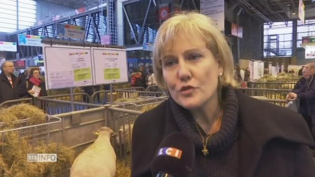 Nadine Morano veut convaincre Fillon de passer la main