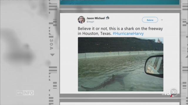 Houston: des images détournées circulent sur le web