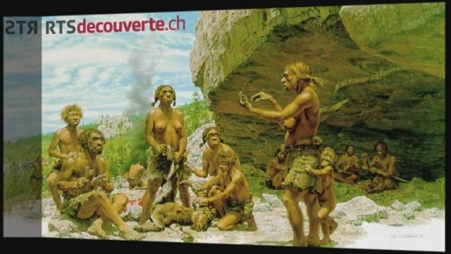 Série archéologie: Grotte de Cotencher
