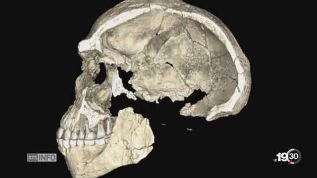L'homo sapiens est bien plus vieux, il vivait il y a 300'000 ans