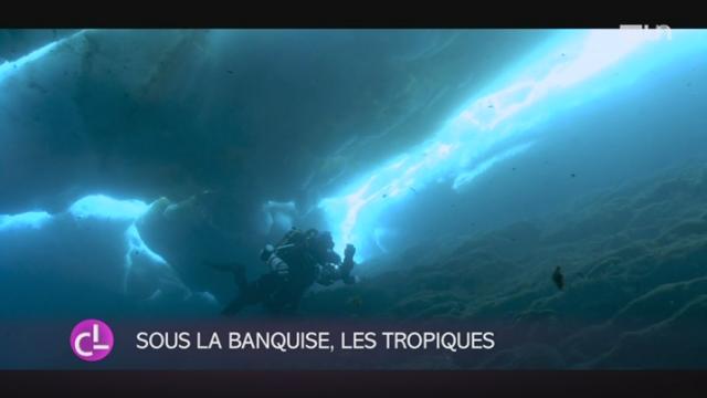 NE: Festisub met à l'honneur le monde sous-marin