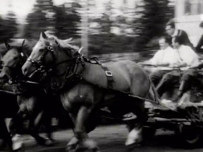 Les courses de chevaux de Saignelégier