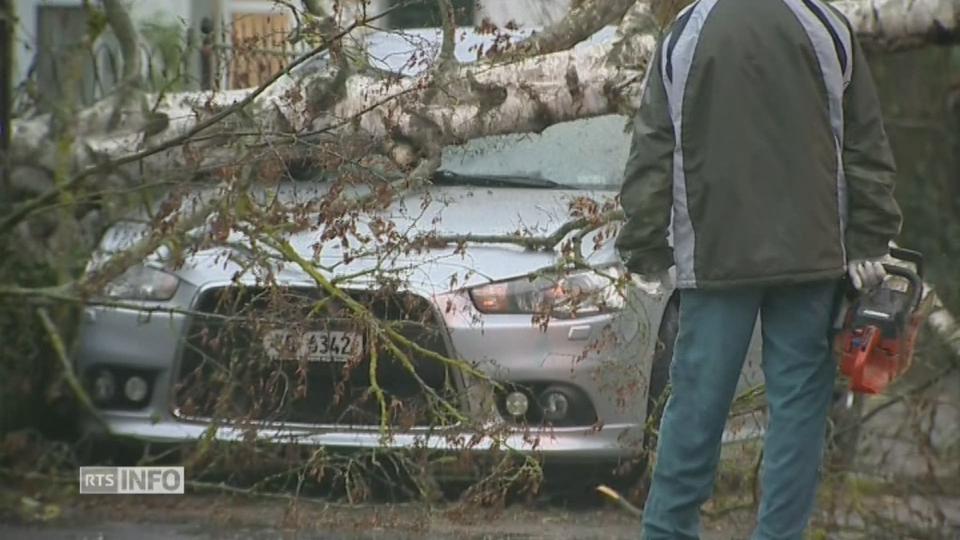 Les images de la tempête à Frauenfeld (TG)