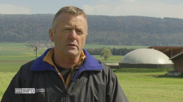 Elevage de porcs, cultures et biogaz au lieu des vaches laitières à Chézard (NE)