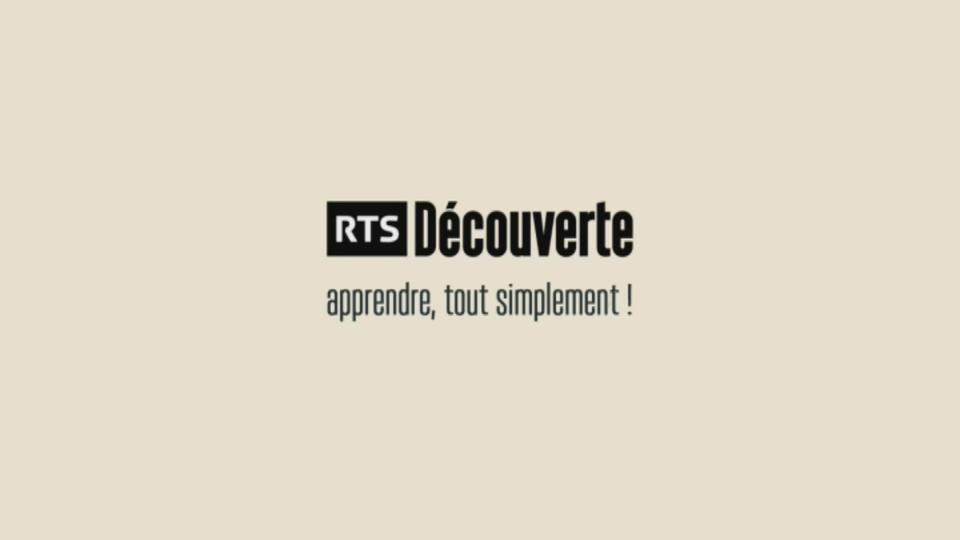 Qu'est-ce que RTS Découverte?