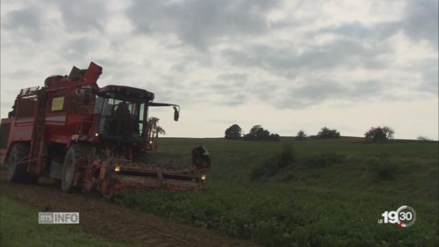 Le Conseil fédéral met l’agriculture sous pression