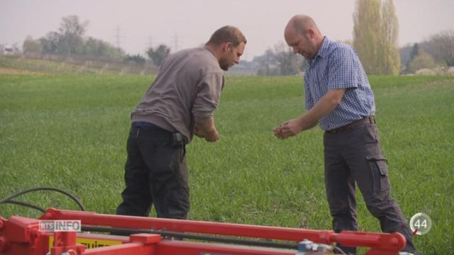 Le Bio est toujours plus prisé des paysans romands