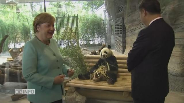 La Chine prête deux pandas au zoo de Berlin