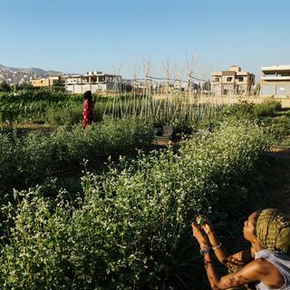 Agricultrices du collectif collectif Bouzourna Jouzourna (Nos graines nos racines), vallée de la Bekaa Liban [RTS - Emmanuel Haddad]