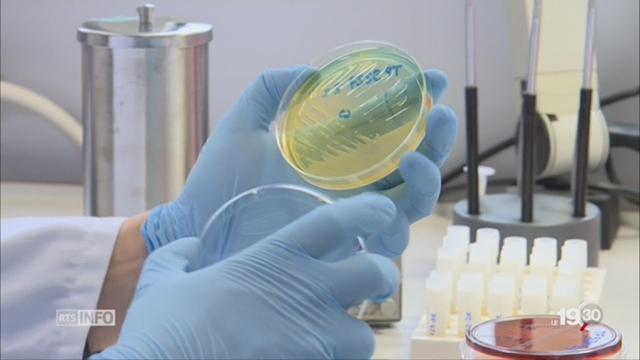 La résistance des bactéries aux antibiotiques inquiète