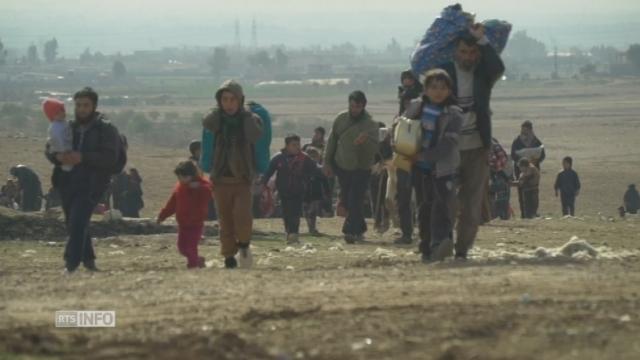 Des milliers de civils fuient l'ouest de Mossoul avant l'offensive des forces irakiennes