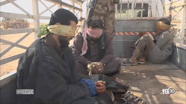 Des exactions contre les soldats de Daesh sont dénoncées en Irak