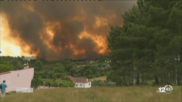Portugal: des incendies ont ravagé le centre du pays