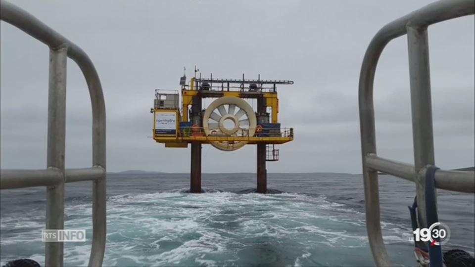 Ecosse: produire de l'énergie grâce aux vagues et au courant