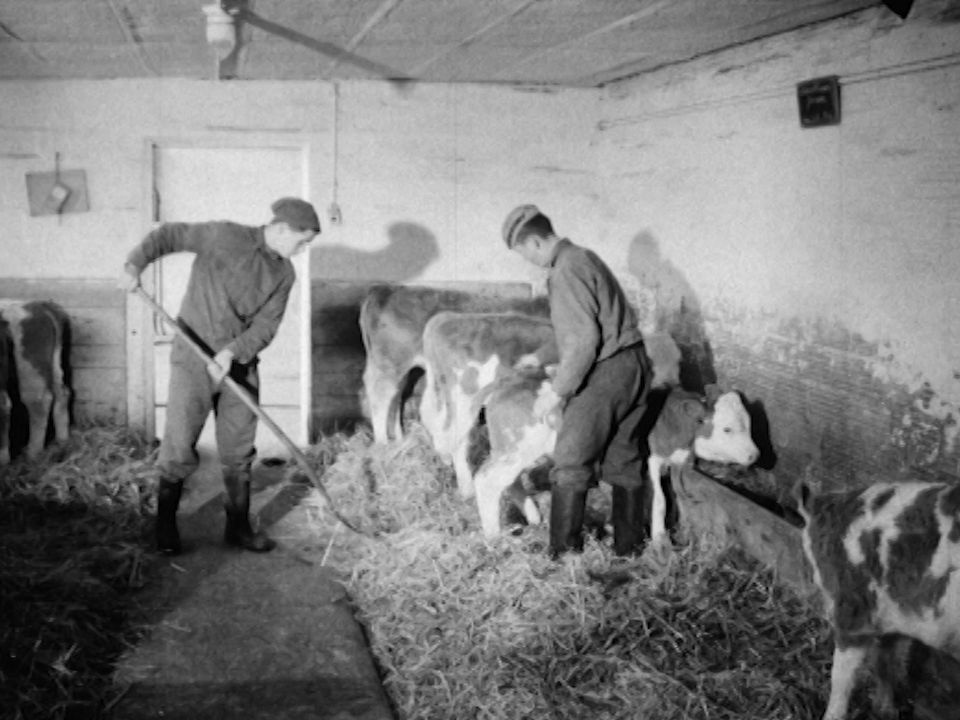 L'école d'enseignement agricole de Cernier. [RTS]