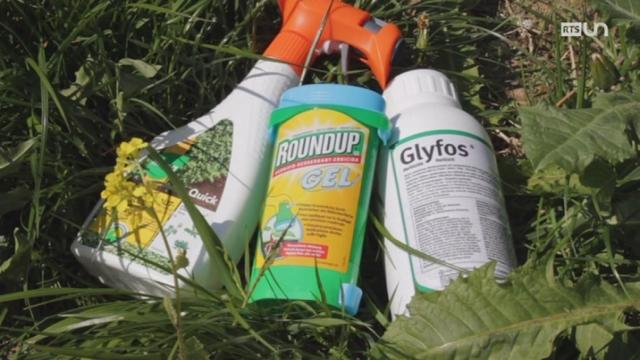 Du glyphosate dans vos aliments: le test d'ABE!