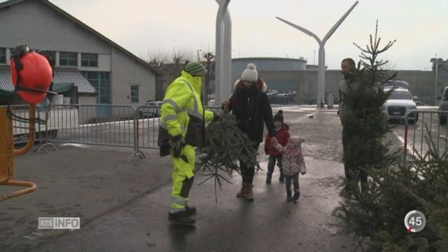 NE: la ville de Neuchâtel incite la population à recycler leur sapin de Noël