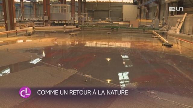 Une maquette pour simuler le futur delta du Rhône