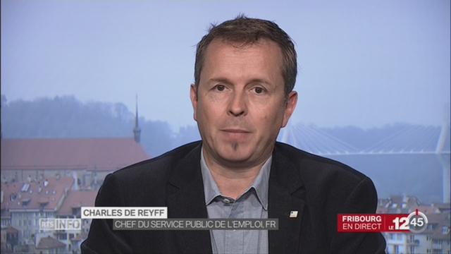 FR - Lutte contre le travail au noir: entretien avec Charles de Reyff, chef du service public de l'emploi (FR)