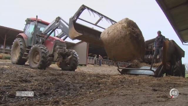 Le FN pourrait séduire l'électorat agricole qu'il convoite