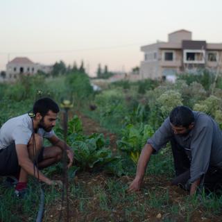 Agriculteurs du collectif collectif Bouzourna Jouzourna (Nos graines nos racines), vallée de la Bekaa Liban [RTS - Emmanuel Haddad]