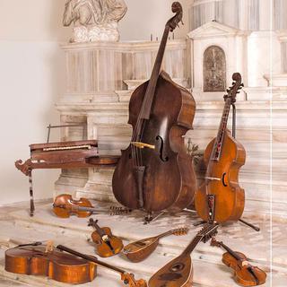 Instruments du musée des instruments de musique de Venise [museodellamusica.com]