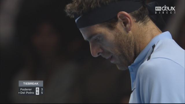 Bâle, finale : R. Federer (SUI) - Del Potro (ARG) (6-7)