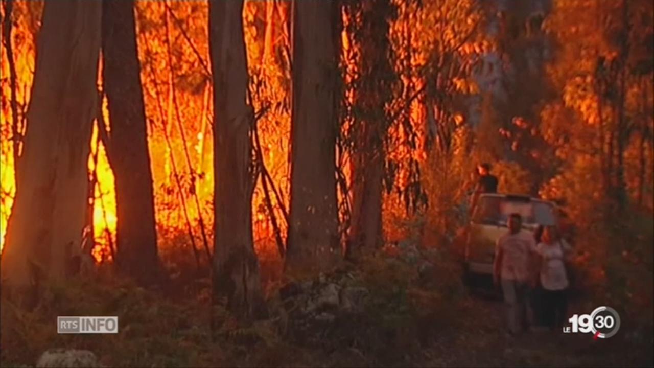 Des centaines de feux ont fait plus de 30 morts au Portugal