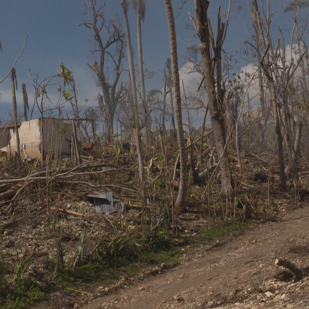 Des récoltes plus fertiles à Haïti grâce à la Chaîne du bonheur