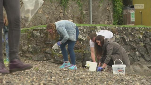 Tous unis contre les déchets plastiques !