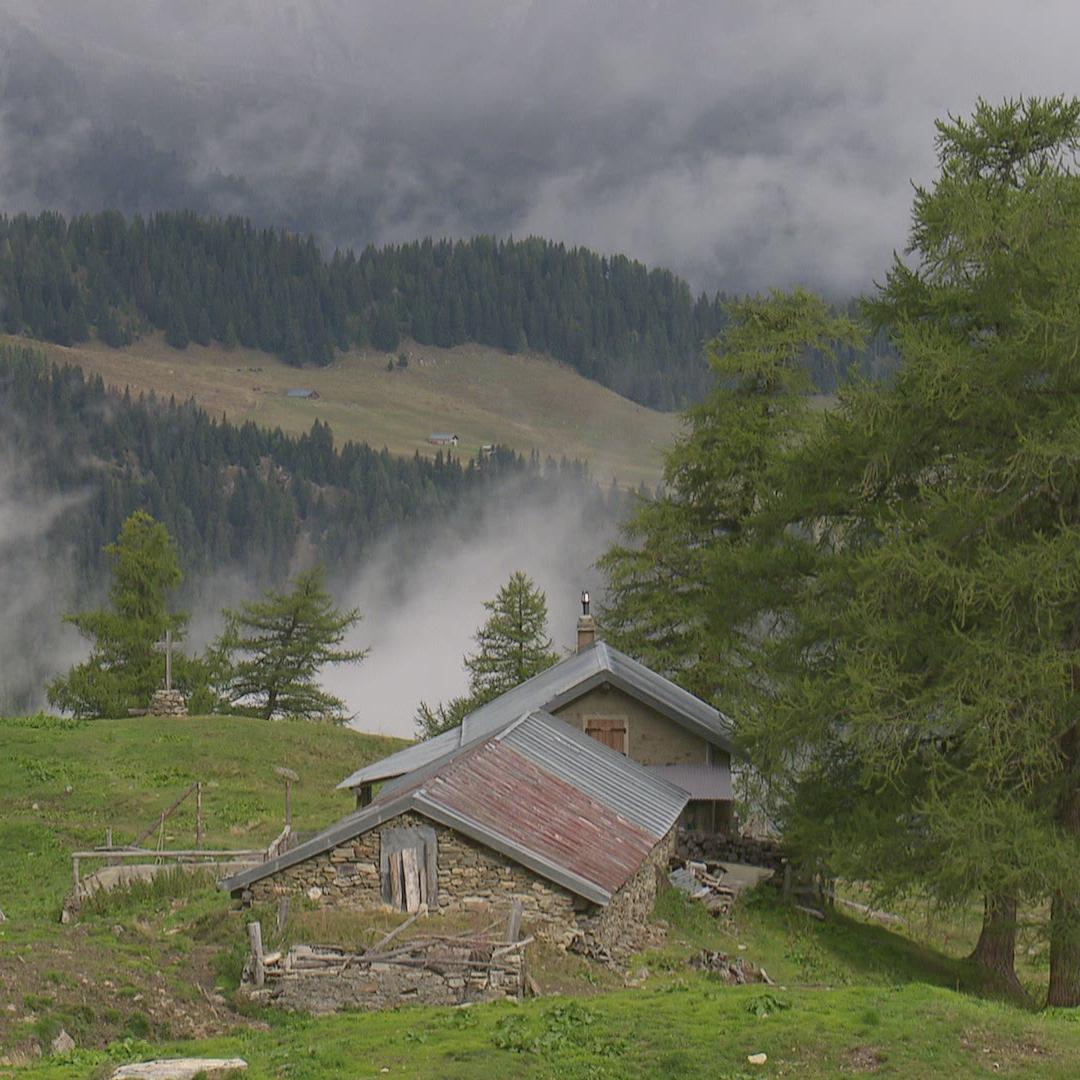 Les bénévoles du « Projet Forêt de montagne » soutiennent les paysans valaisans