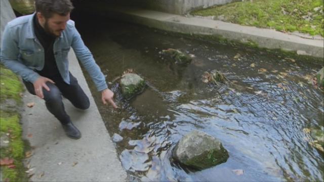 Un affluent du lac Léman a été gravement pollué