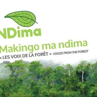 Pochette du groupe Ndima "Les-voix-de-la-Forêt" [Sorel-ETA-&-Bernard-Bosc]
