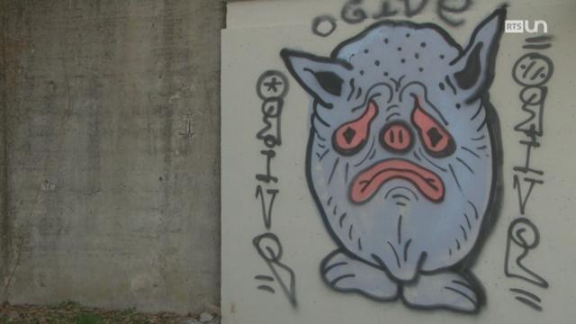 La guerre aux graffitis