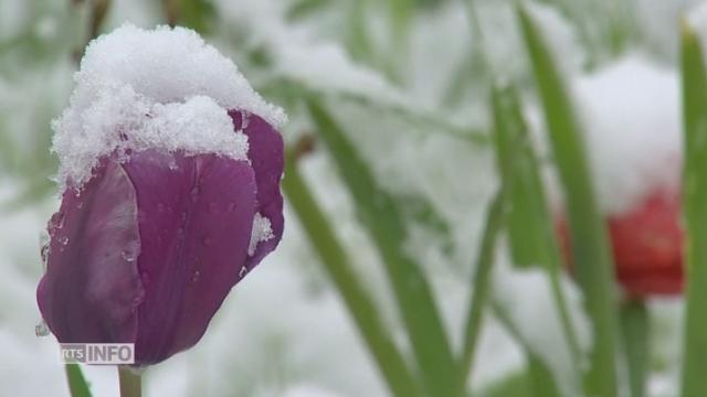 La neige a fait son retour en plaine en Suisse