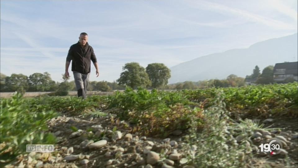 La sécheresse touche toute la Suisse romande