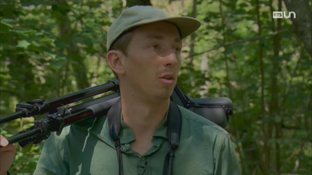 Suite de l'entretien avec Julien Mazenauer, ornithologue