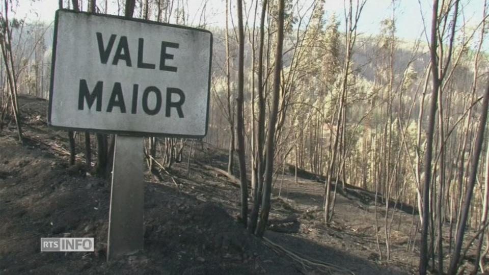 Derniers foyers d’incendies maîtrisés au Portugal