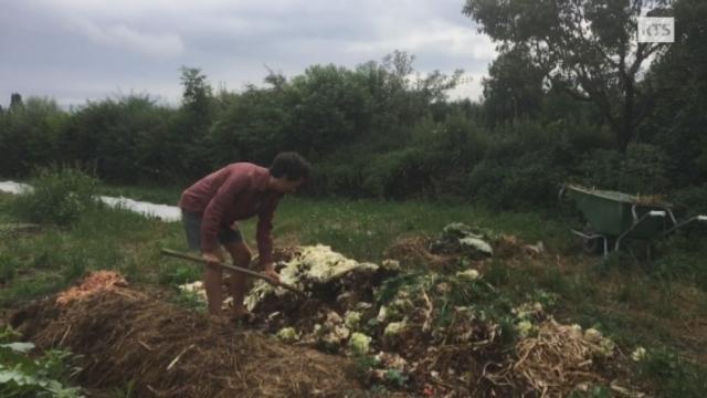 Le bio et les vers de compost