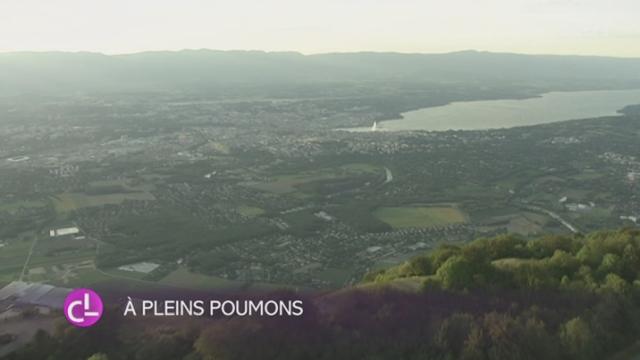 La pollution a diminué à Genève