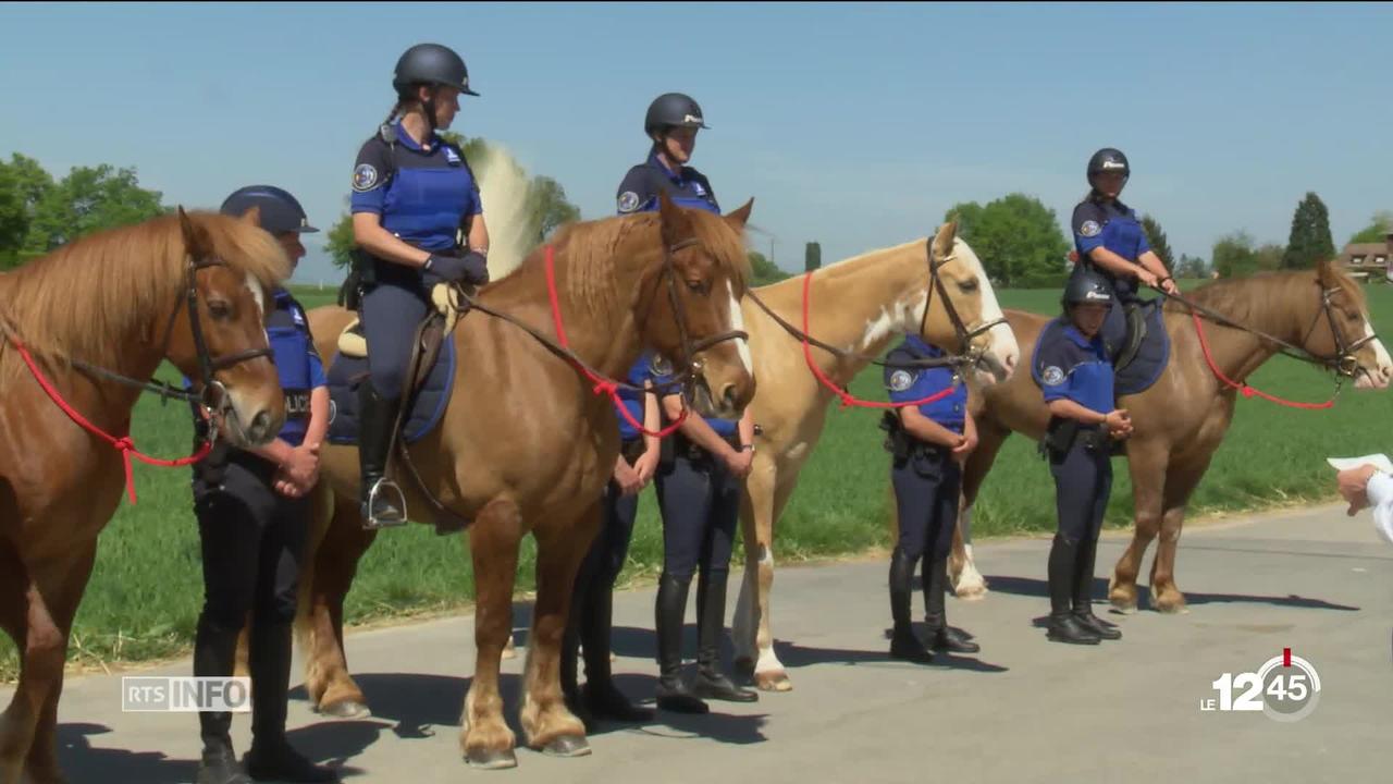 GE: la police patrouillera à cheval dans la campagne du canton
